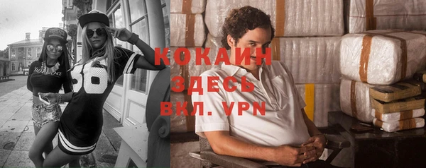 mdpv Новозыбков