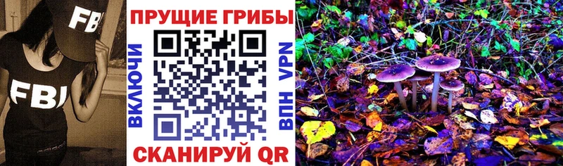 Галлюциногенные грибы GOLDEN TEACHER  Борисоглебск 