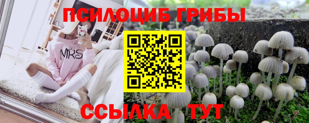 Галлюциногенные грибы ЛСД  цены   Борисоглебск 